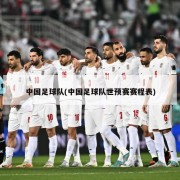 中国足球队(中国足球队世预赛赛程表)